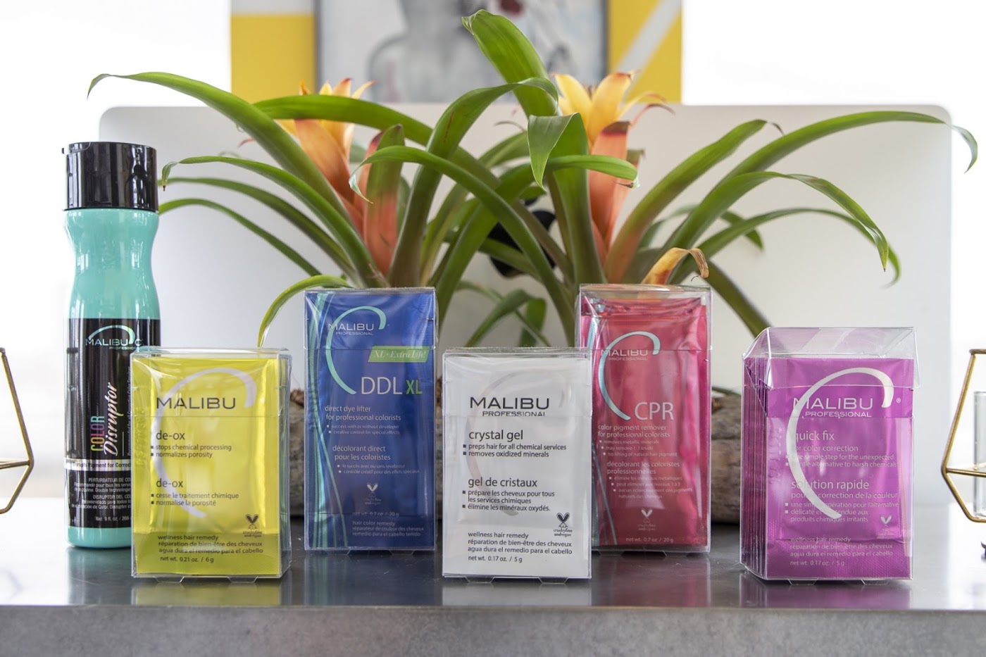 Hair care products on display in the studio